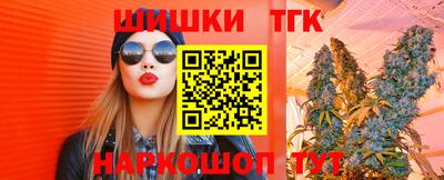 гашик Шелехов