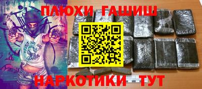 гашик Шелехов