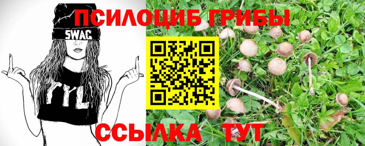 Мичуринск  Галлюциногенные грибы мицелий  Вход с VPN  наркошоп  Псилоцибиновые грибы ЛСД 