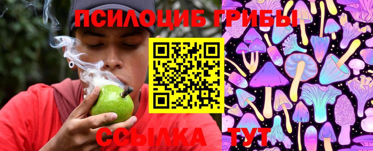 Псилоцибиновые грибы Psilocybine cubensis Мичуринск