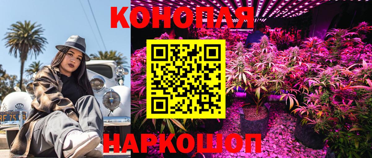 Бошки Шишки семена Мичуринск